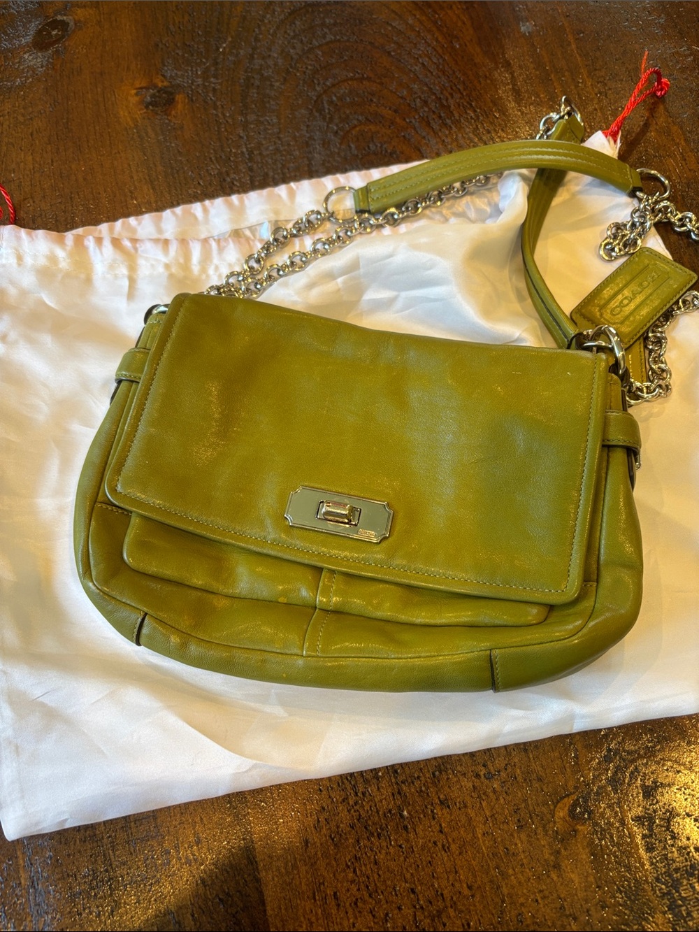 Coach Green Leather Shoulder Bag with Chain Strap